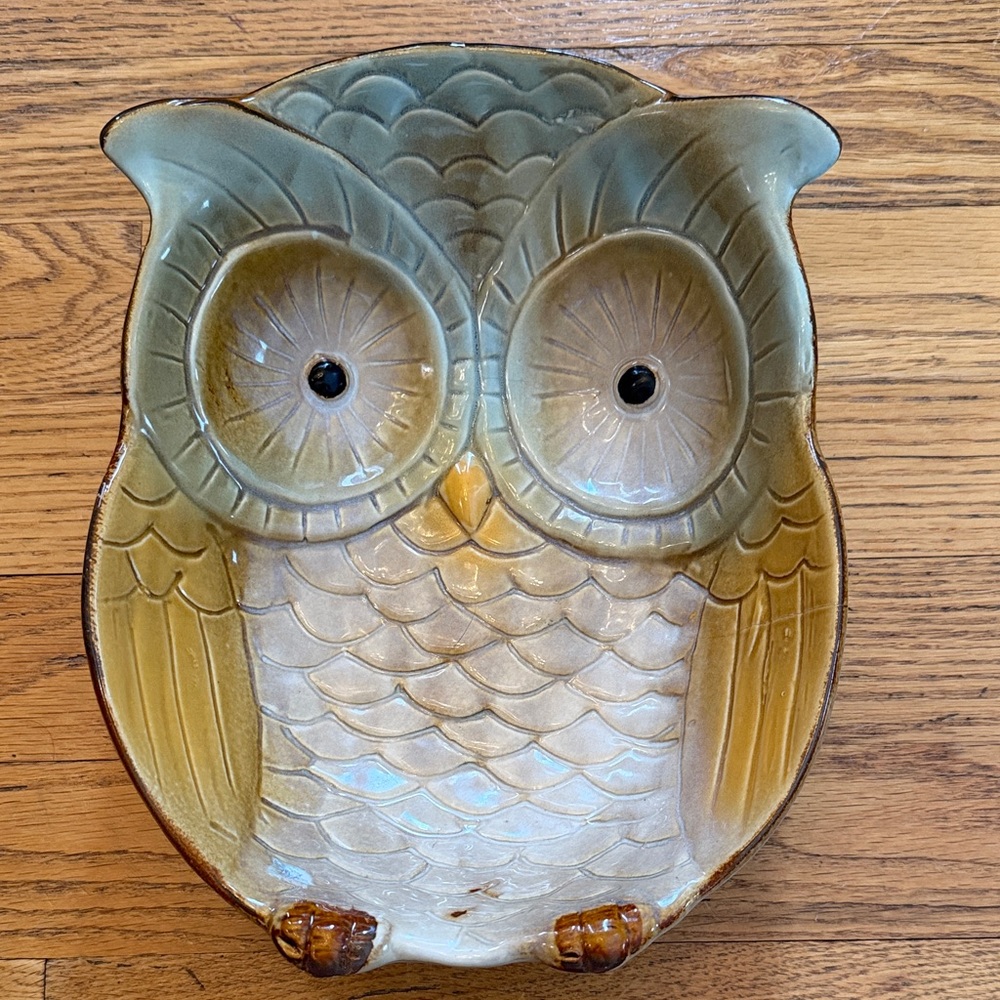 Ceramic Owl Dish Art - Green and Brown